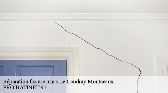 Réparation fissure murs
